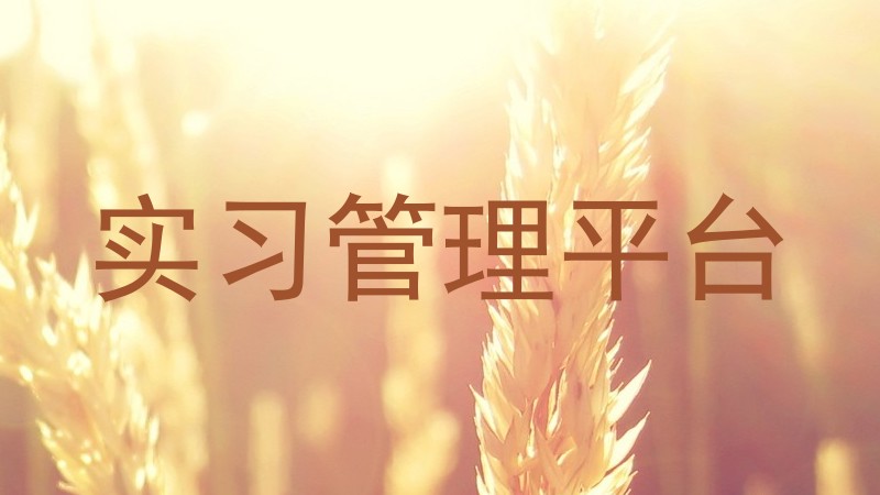 实习管理平台