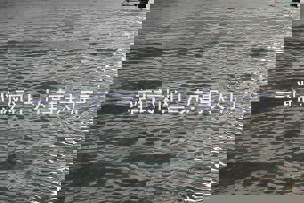 一站式网上办事大厅