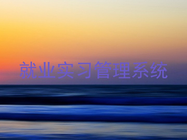 就业实习管理系统