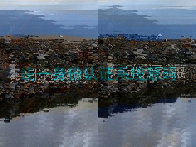 统一身份认证系统源码