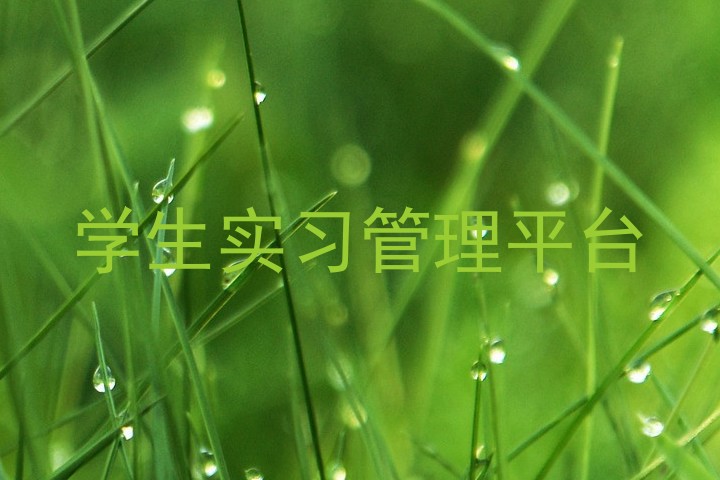 学生实习管理平台