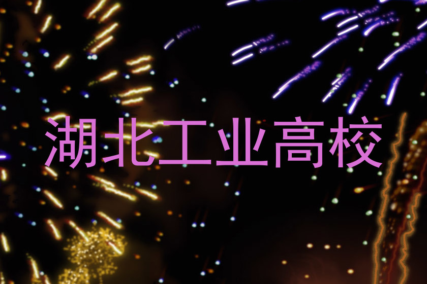 湖北工业高校