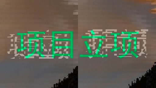 项目立项