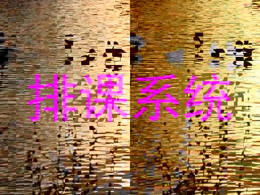 排课系统