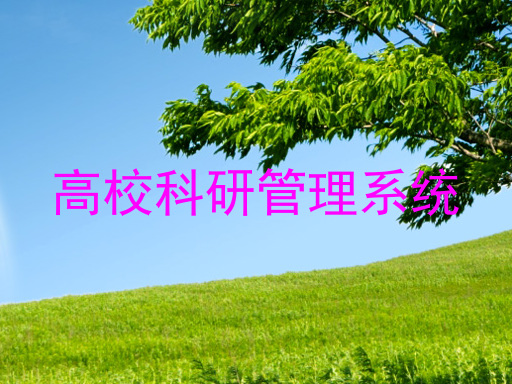 高校科研管理系统