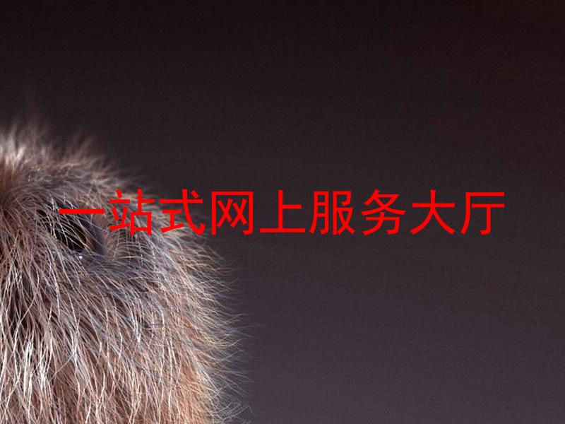 一站式网上服务大厅