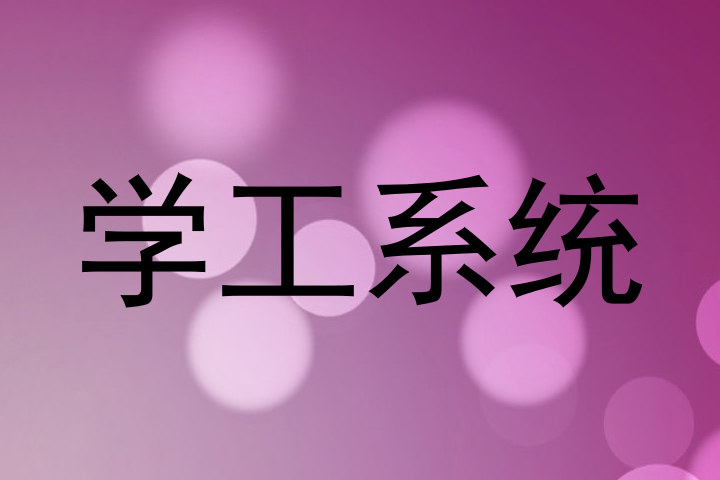 学工系统