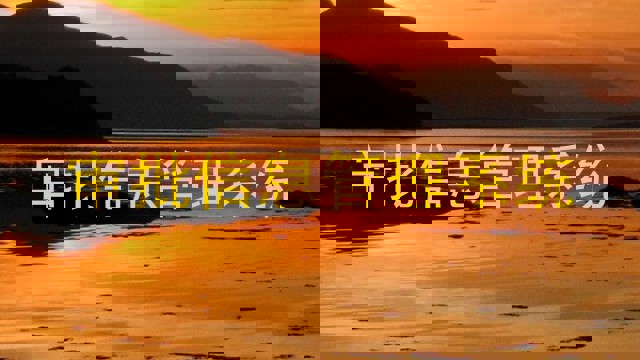 审批信息管理系统
