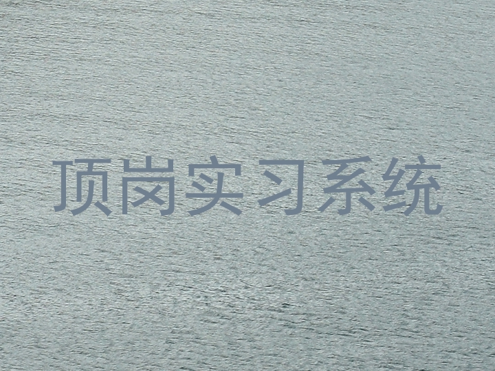 顶岗实习系统