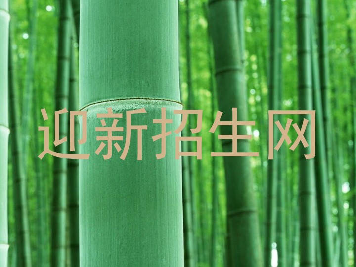迎新招生网