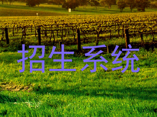 招生系统
