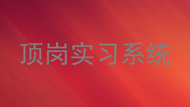 顶岗实习系统