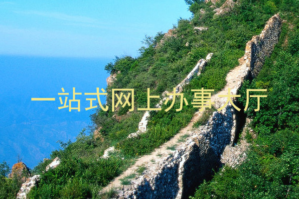 一站式网上办事大厅