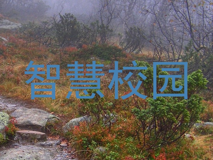 智慧校園