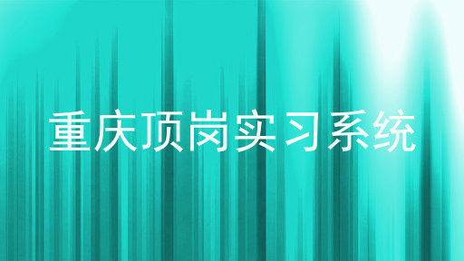 重庆顶岗实习系统