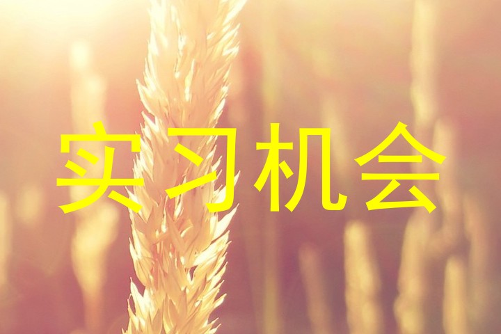 实习机会