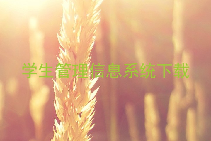 学生管理信息系统下载
