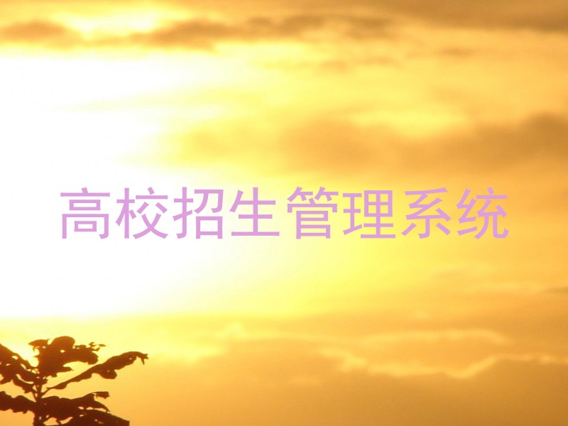 高校招生管理系统
