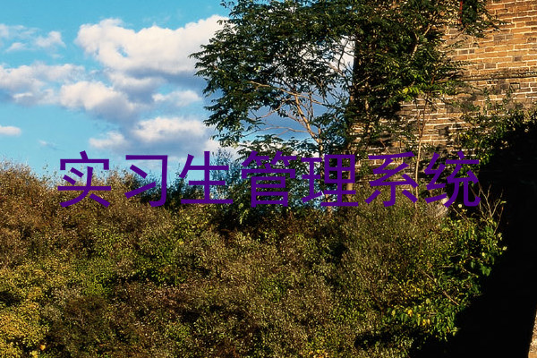 实习生管理系统