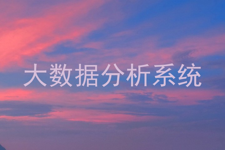 大数据分析系统