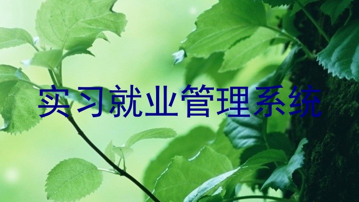 实习就业管理系统