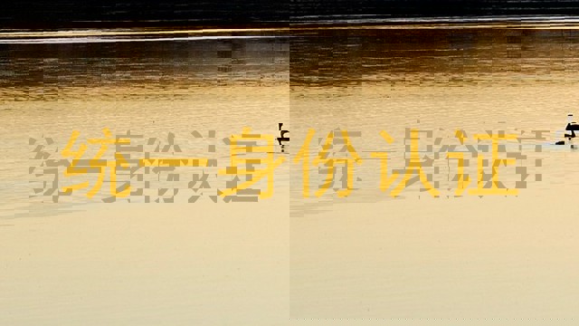 统一身份认证