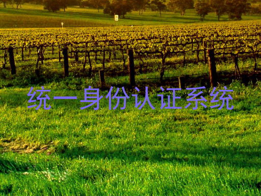 统一身份认证系统