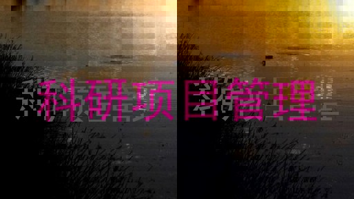 科研项目管理
