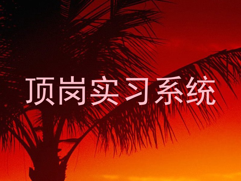 顶岗实习系统