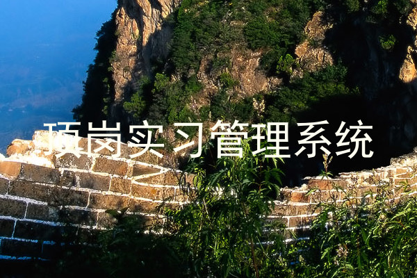 顶岗实习管理系统
