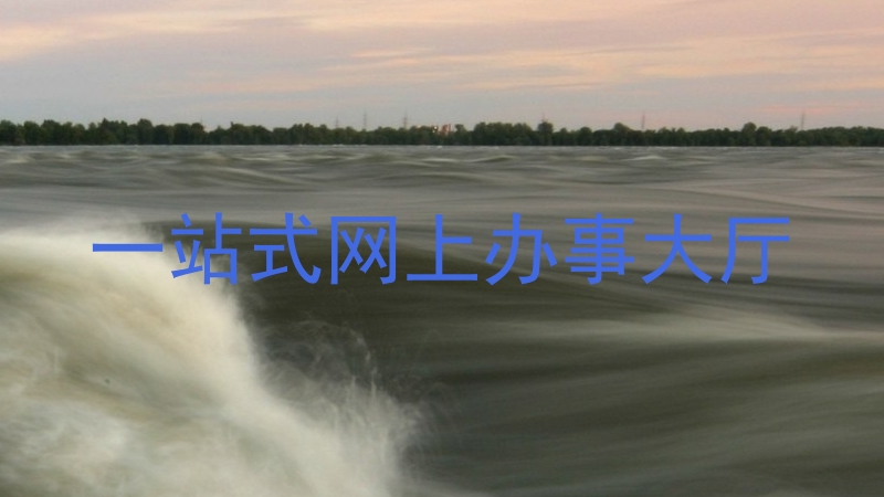 一站式网上办事大厅