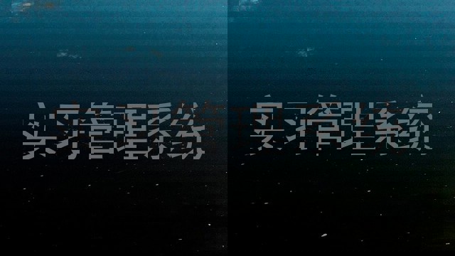 实习管理系统