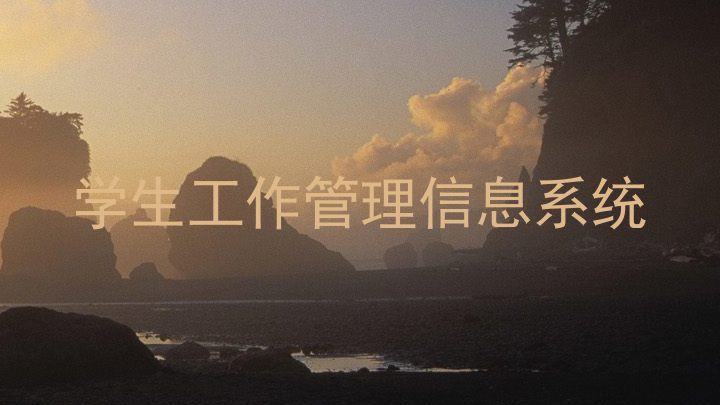 学生工作管理信息系统