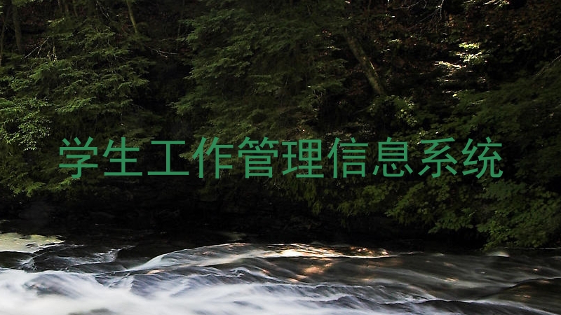 学生工作管理信息系统