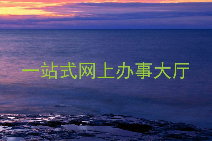 一站式网上办事大厅