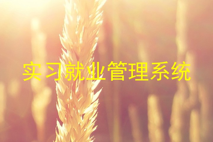 实习就业管理系统