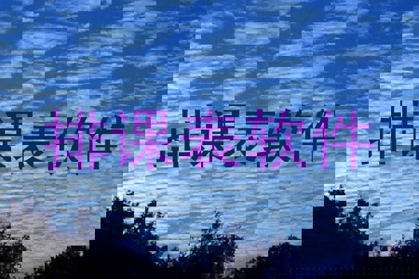 排课表软件