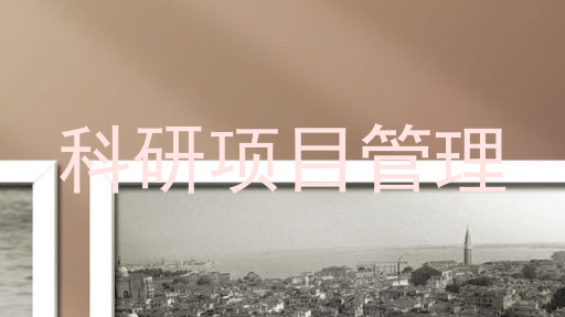 科研项目管理
