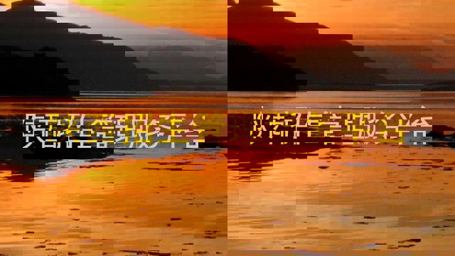 陕西招生管理服务平台