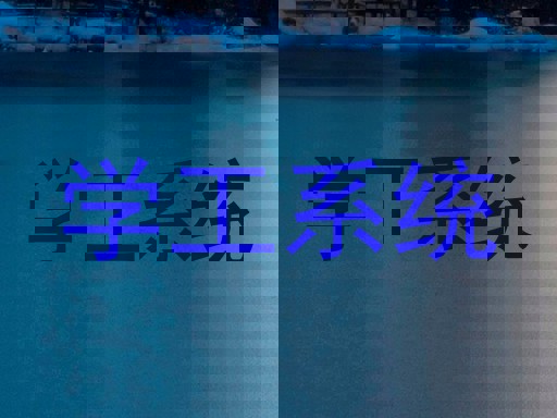 学工系统