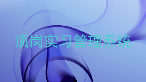 顶岗实习管理系统