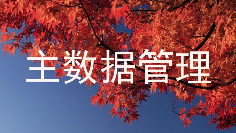 主数据管理