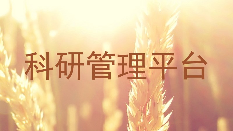 科研管理平台