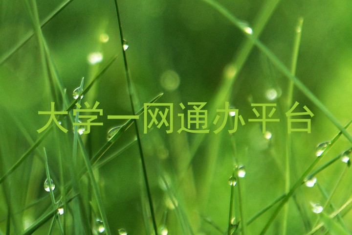 大学一网通办平台