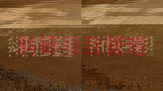 科研项目管理