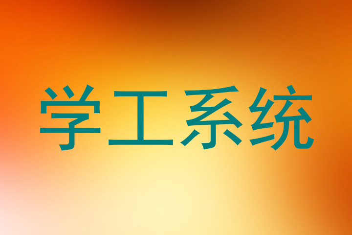 学工系统