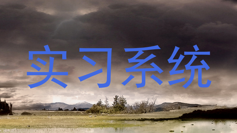 实习系统