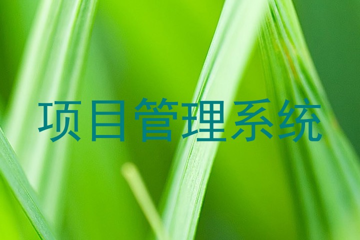 项目管理系统