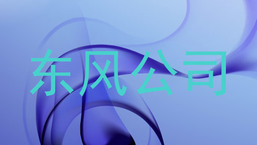 东风公司