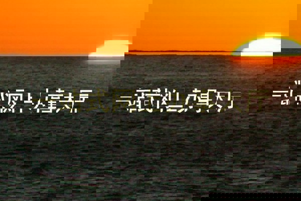 一站式网上办事大厅